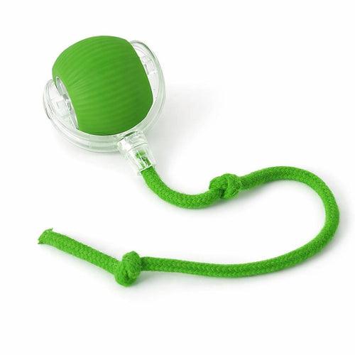 Pet Automatic Ball Toy
