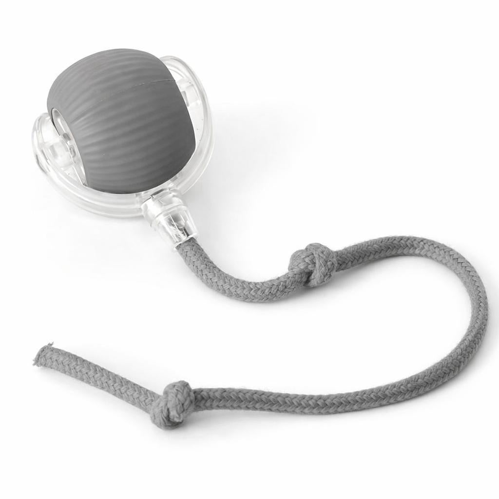 Pet Automatic Ball Toy