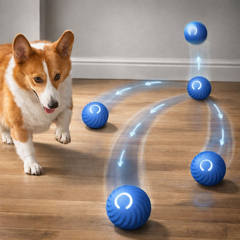 Smart Pet Ball