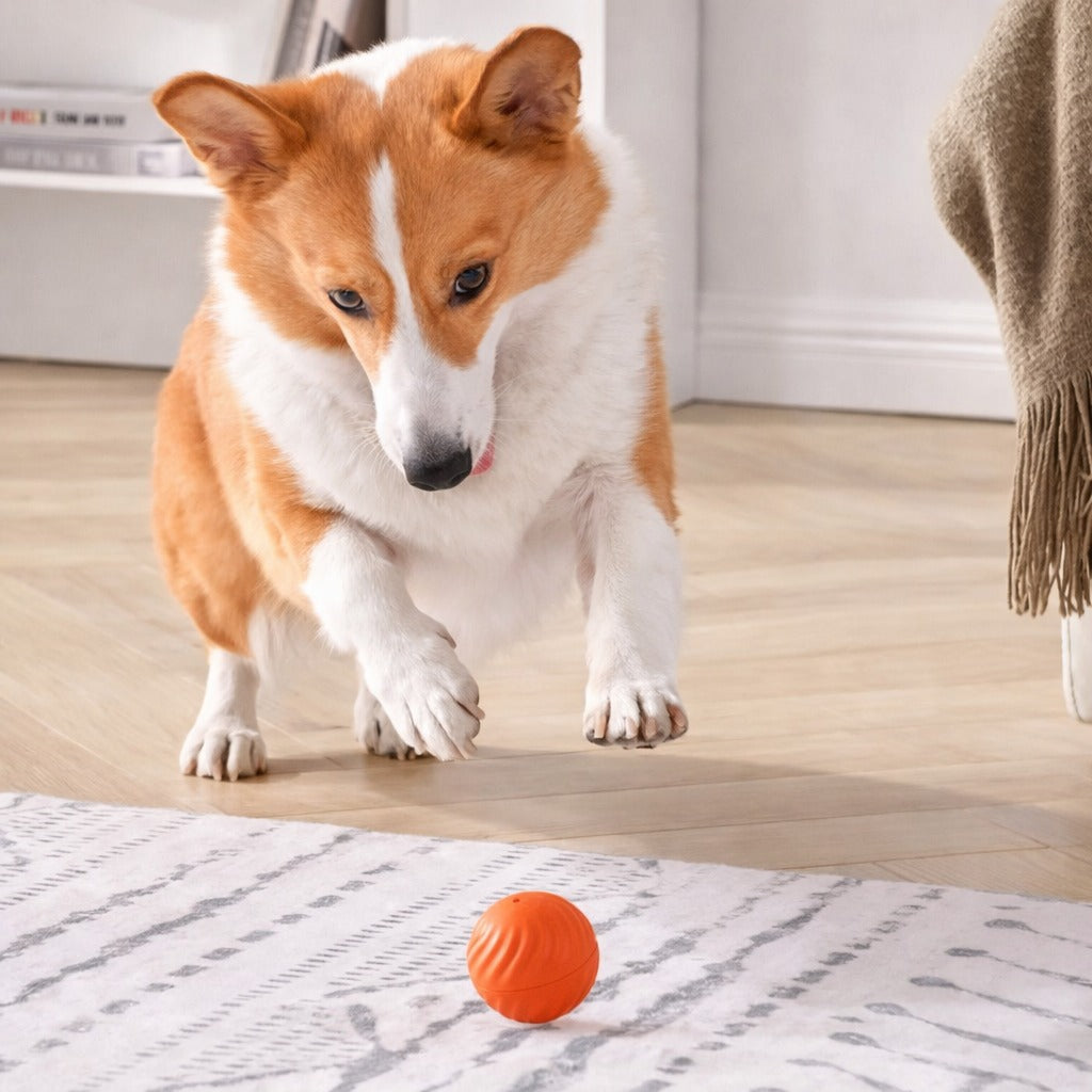 Smart Pet Ball