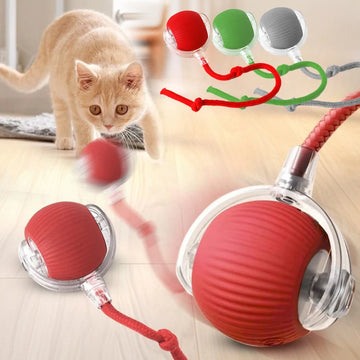 Pet Automatic Ball Toy