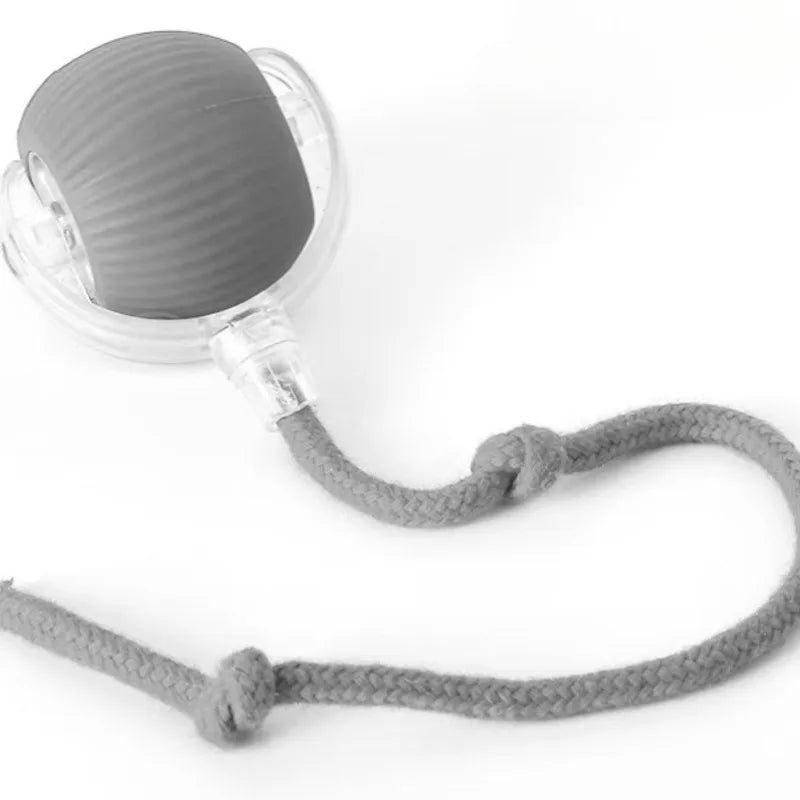 S3fcd196a0c144c3294dc559acf88db004