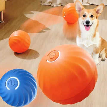 Smart Pet Ball